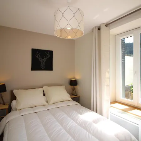 T3 Avec Jardin Privatif Et Wifi A Mont-dore, Renove, Parking Et Garage Inclus - Fr-1-608-37 Apartment Le Mont-Dore